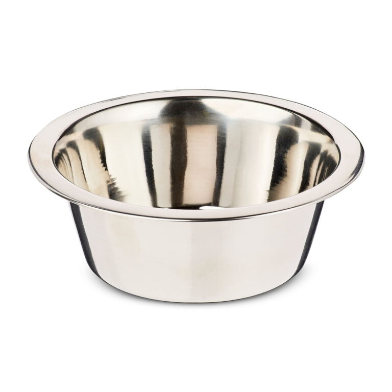 Vibrant Life Small 3.4-Cup Stainless Steel Pet Bowl â Silver