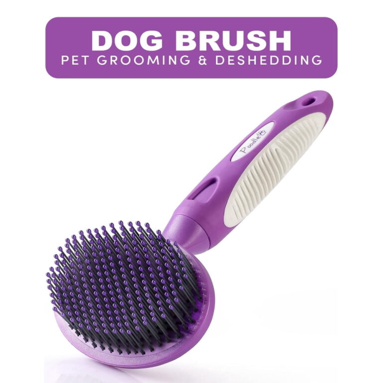 Poodle Pet Round Soft Bristle Hair Brush Pet Grooming Tool for Dogs & Cats â Purple