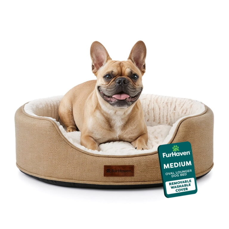 Furhaven Pet Products Medium Foam Oval Lounger Dog & Cat Bed featuring Reversible Pillow â Nutmeg